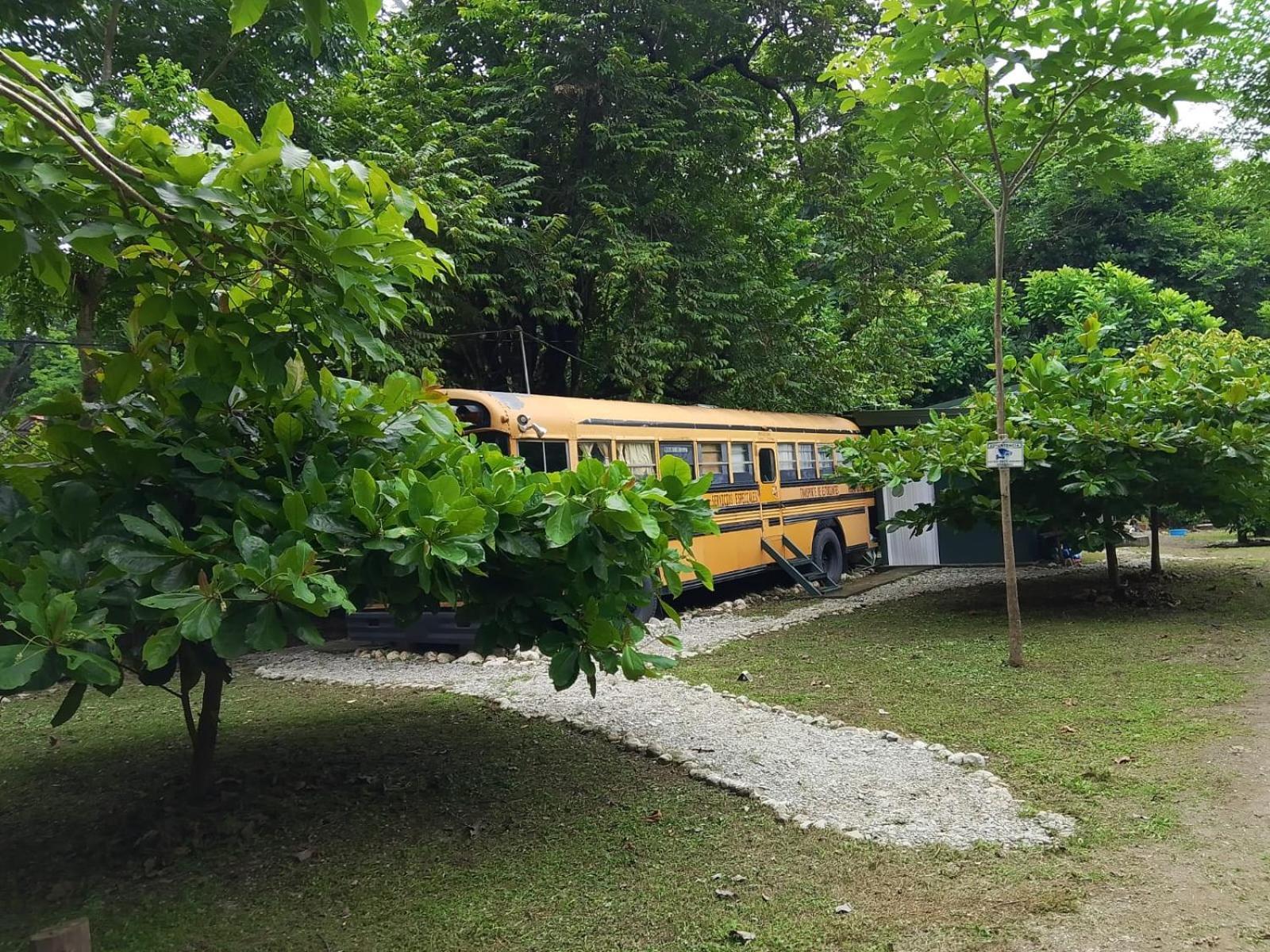 Nanku Nimbu Casa-Bus Equipada Cerca De Playas Leilighet Sámara Eksteriør bilde